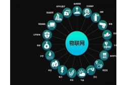 &#21338;&#40060;&#23448;&#26041;&#32593;&#39029;&#29256;&#45;&#21338;&#40060;&#40;&#20013;&#22269;&#41;