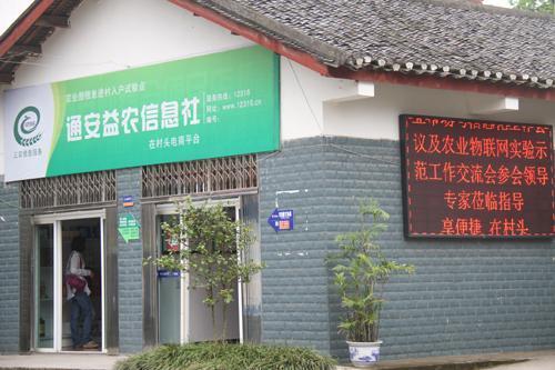 &#21338;&#40060;&#23448;&#26041;&#32593;&#39029;&#29256;&#45;&#21338;&#40060;&#40;&#20013;&#22269;&#41;