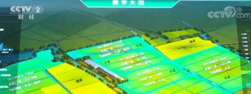 &#21338;&#40060;&#23448;&#26041;&#32593;&#39029;&#29256;&#45;&#21338;&#40060;&#40;&#20013;&#22269;&#41;