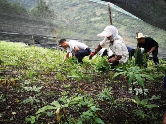 &#21338;&#40060;&#23448;&#26041;&#32593;&#39029;&#29256;&#45;&#21338;&#40060;&#40;&#20013;&#22269;&#41;