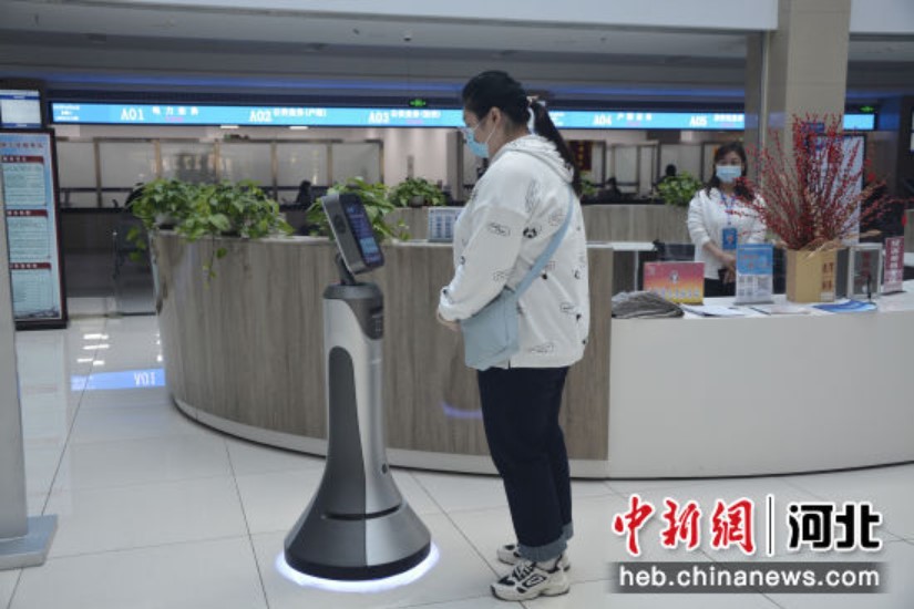 &#21338;&#40060;&#23448;&#26041;&#32593;&#39029;&#29256;&#45;&#21338;&#40060;&#40;&#20013;&#22269;&#41;