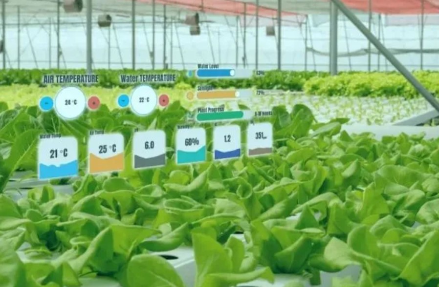 &#21338;&#40060;&#23448;&#26041;&#32593;&#39029;&#29256;&#45;&#21338;&#40060;&#40;&#20013;&#22269;&#41;