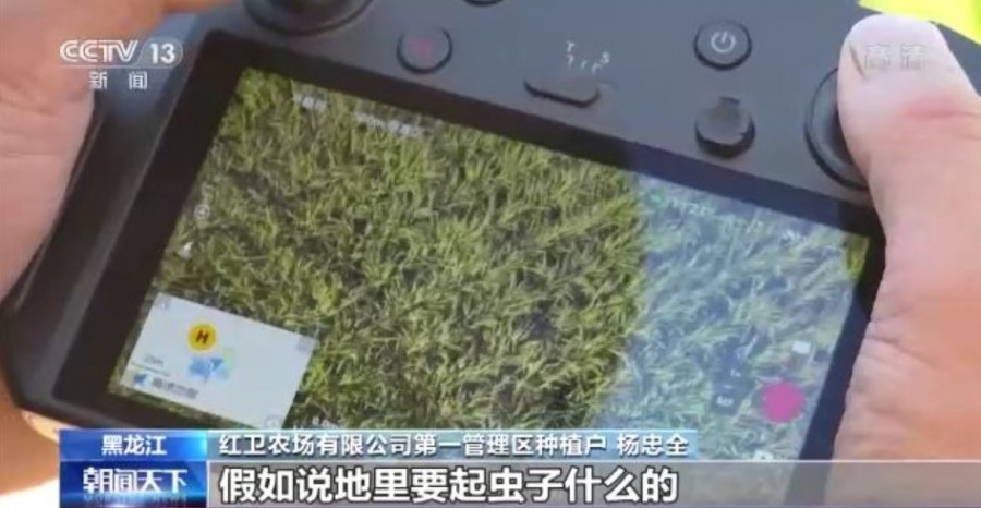 &#21338;&#40060;&#23448;&#26041;&#32593;&#39029;&#29256;&#45;&#21338;&#40060;&#40;&#20013;&#22269;&#41;