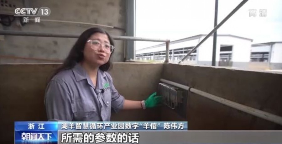 &#21338;&#40060;&#23448;&#26041;&#32593;&#39029;&#29256;&#45;&#21338;&#40060;&#40;&#20013;&#22269;&#41;